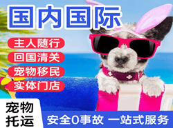 黄山屯溪机场邮寄国际宠物托运 【国